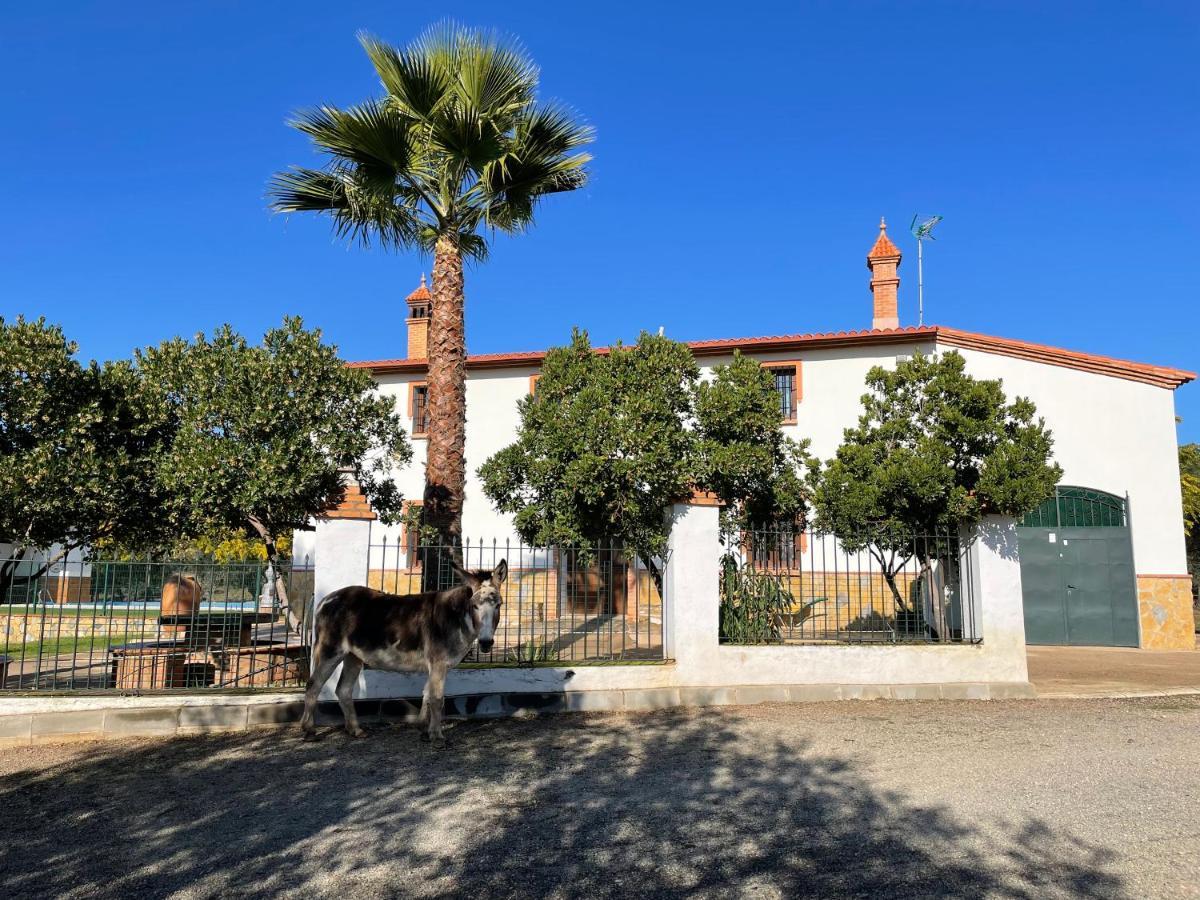 Casa Rural La Galvana อาราเซนา ภายนอก รูปภาพ