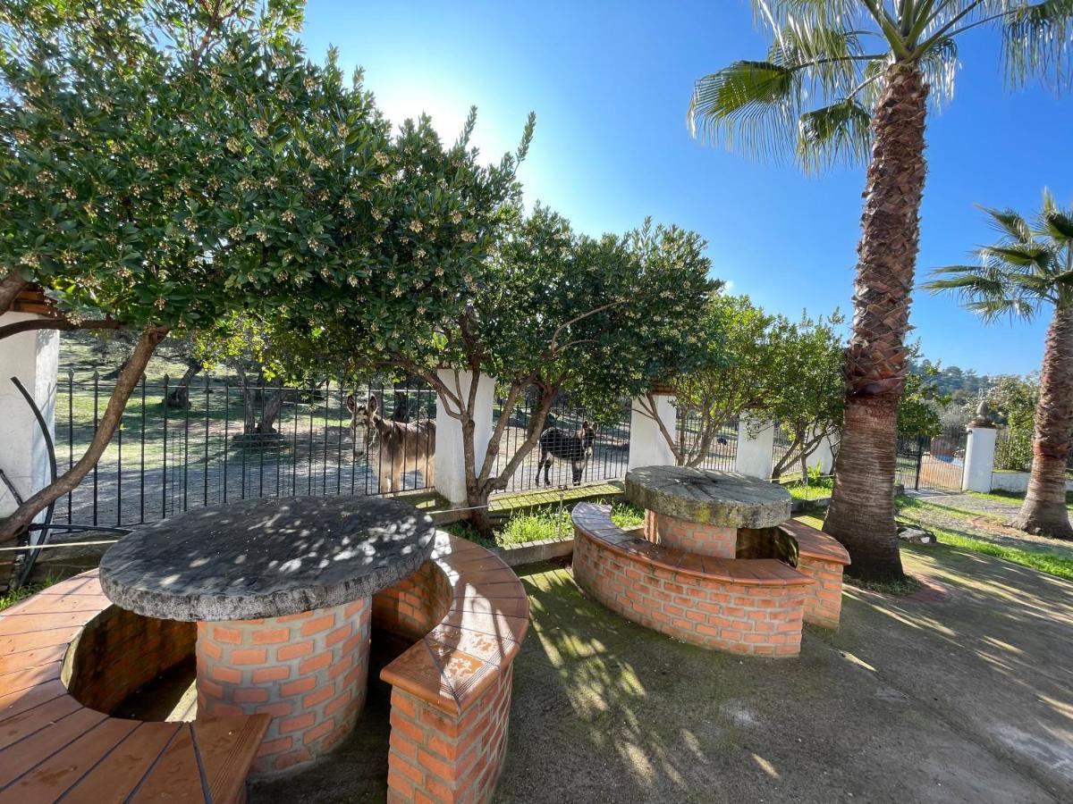 Casa Rural La Galvana อาราเซนา ภายนอก รูปภาพ